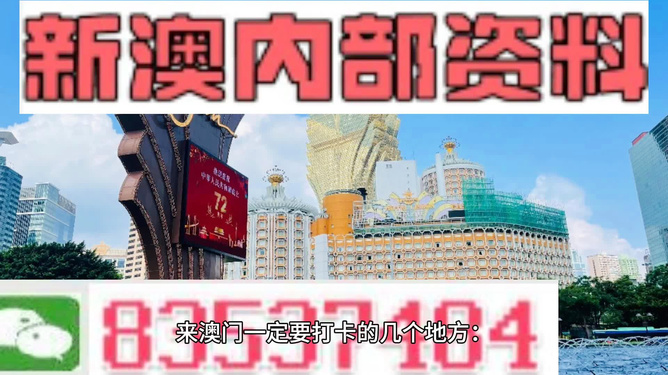 2024新澳资料免费精准051：2024新澳信息免费精准051_揭示背后的真相与挑战