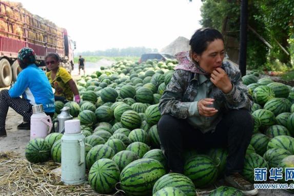 澳门今晚一肖必中特｜澳门今晚必中一肖_动态解答解释落实