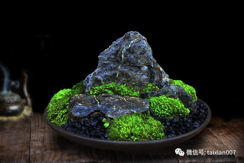 墨绿青苔最新作品｜墨绿青苔新作亮相