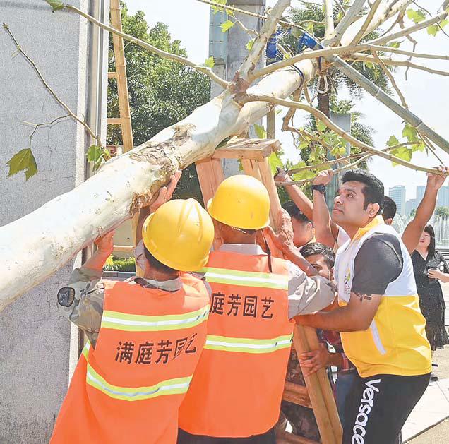 “义乌最新台风预警：最新动态速览”