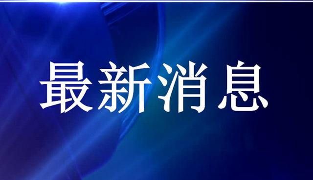 魏州网喜讯：交通顺畅，安全同行，事故零发生！