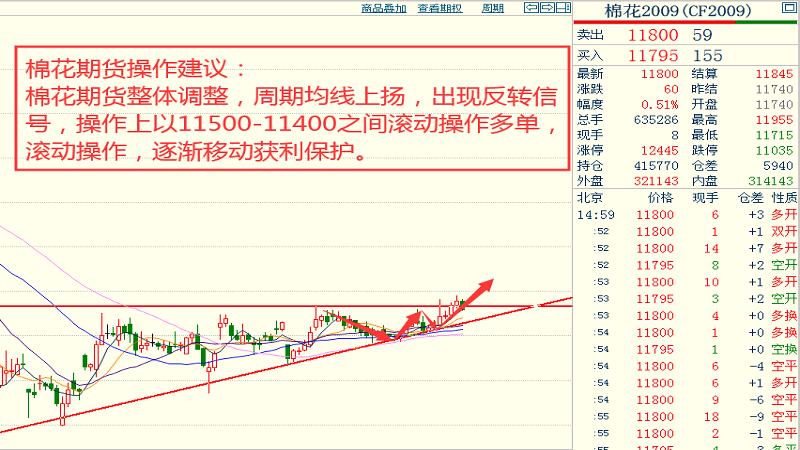 云南省最新橡胶市场价格动态解析及走势预测