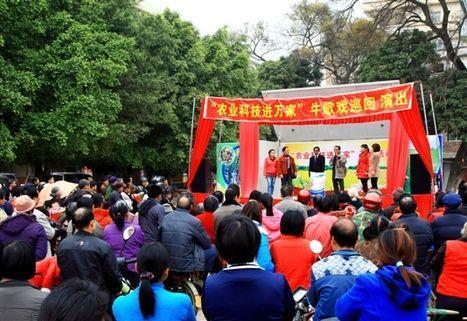 平南牛歌戏汇总大全：最新收录，尽享民俗韵味